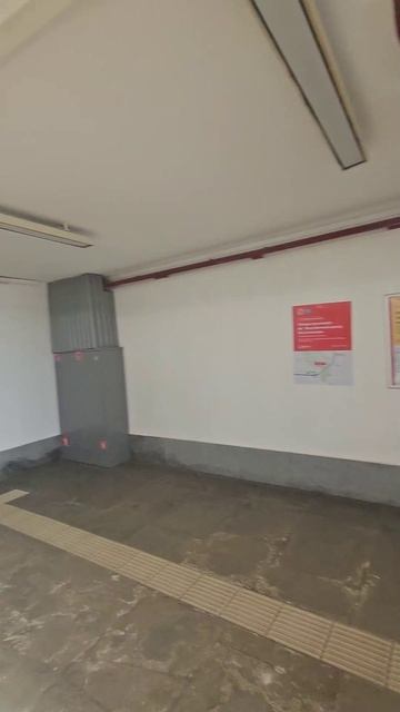 Конец московского монорельса и закон маркетинга.