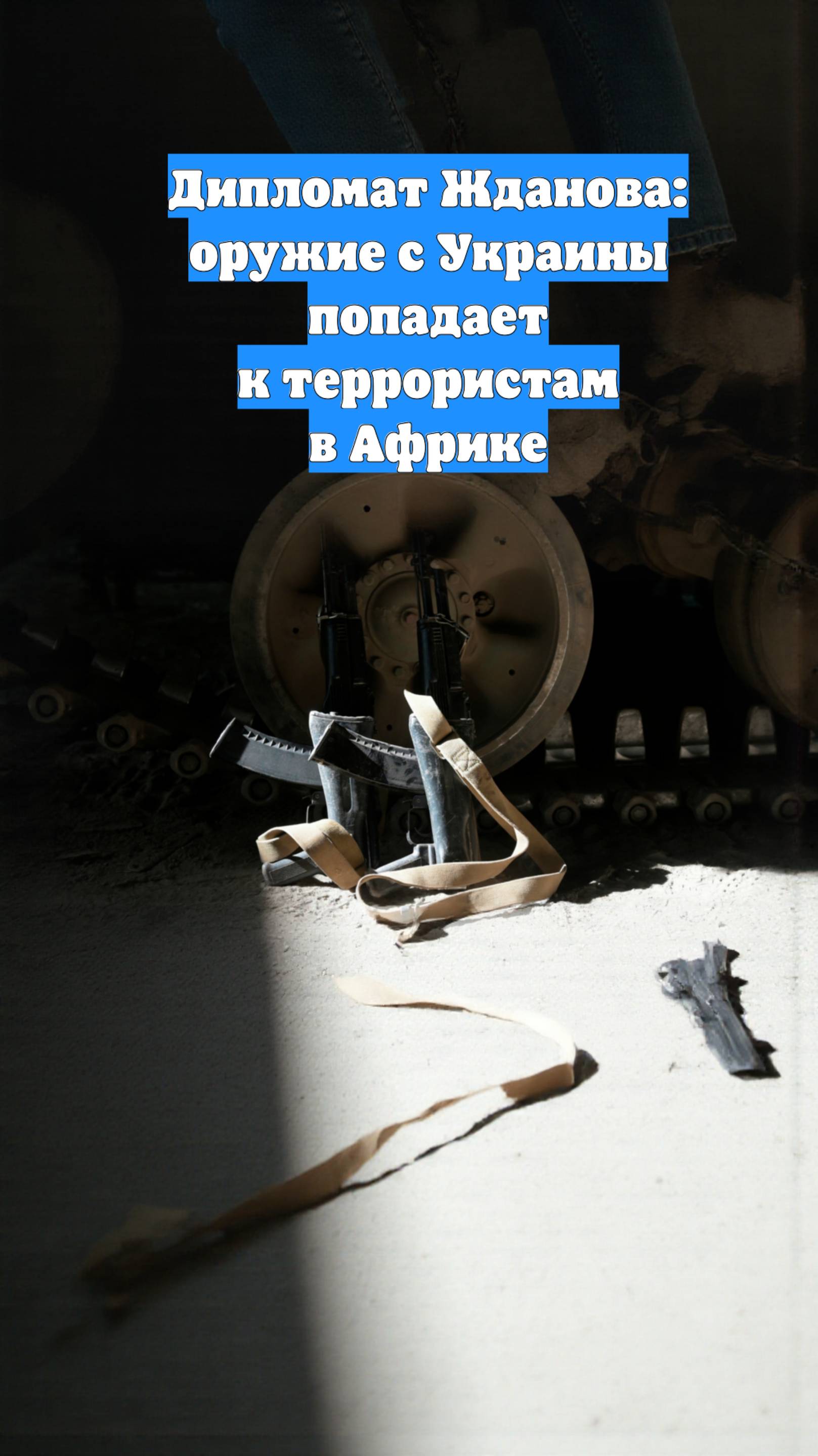 Дипломат Жданова: оружие с Украины попадает к террористам в Африке