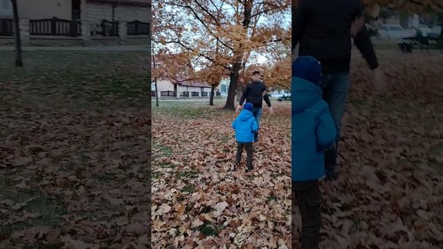 1000012257.mp4