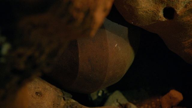 Экспедиция со Стивом Бакшоллом 1 сезон 8 серия (документальный сериал, 2019)