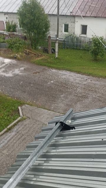 шаррик
