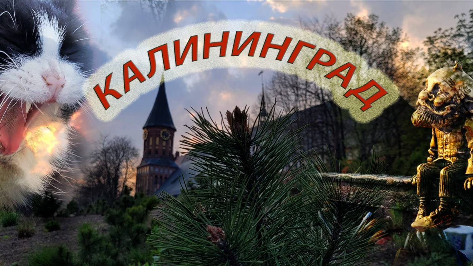 КАЛИНИНГРАД - большое путешествие в самый западный город России (Зеленоградск, Кант, котики и др.)