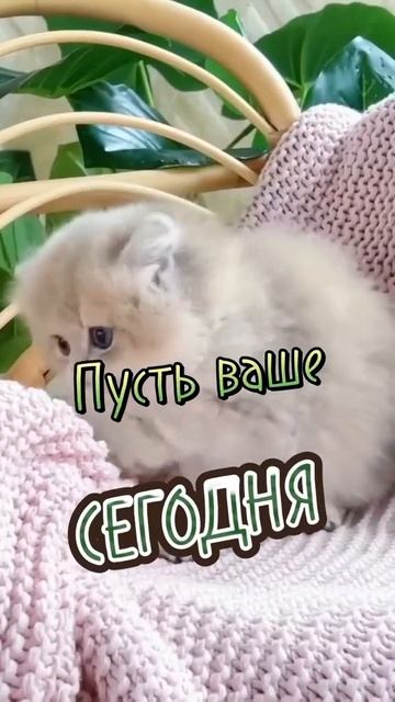 1000036279.mp4