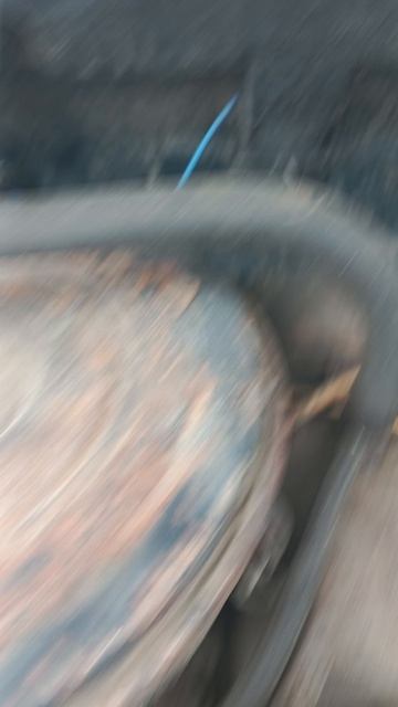1000102754.mp4