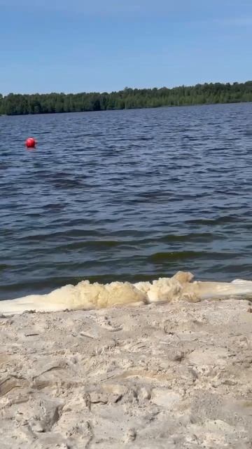 Пляж Зелёная гора Ленинградская область, г Сестрорецк
