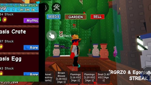 XRecorder_20250628_04.mp4