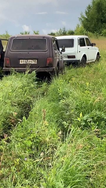 Смысл жизни #нива #4х4 #авто #ваз #перекуп #shorts