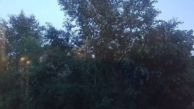 VID_20250628_024436