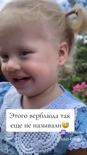 Верблюд 😆☺️🫶