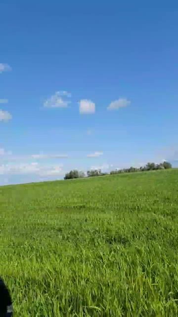 1000100960.mp4