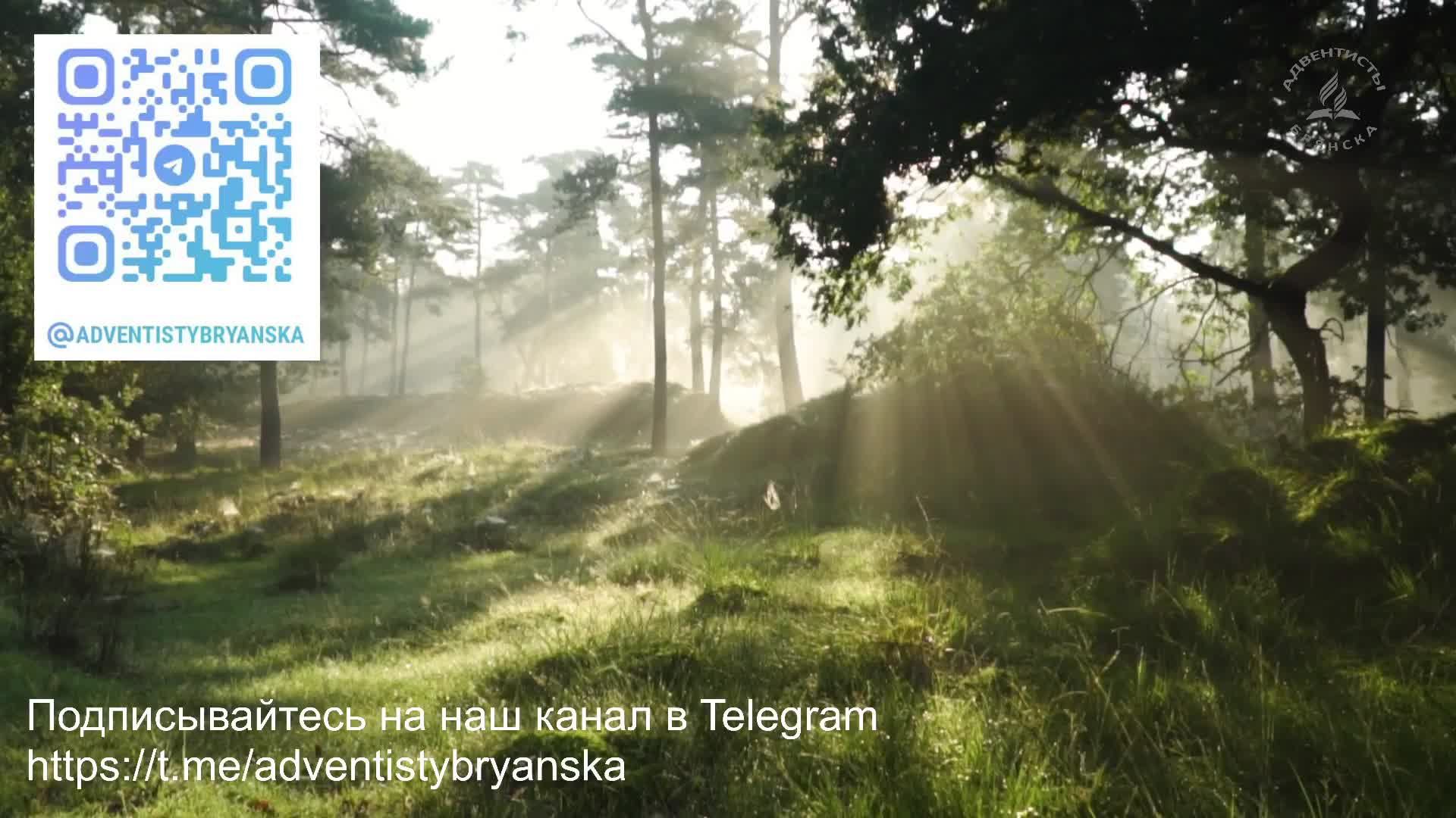 Субботнее богослужение 28.06.2025// Христианская жизнь // Кожин Роман // адвентисты Брянска