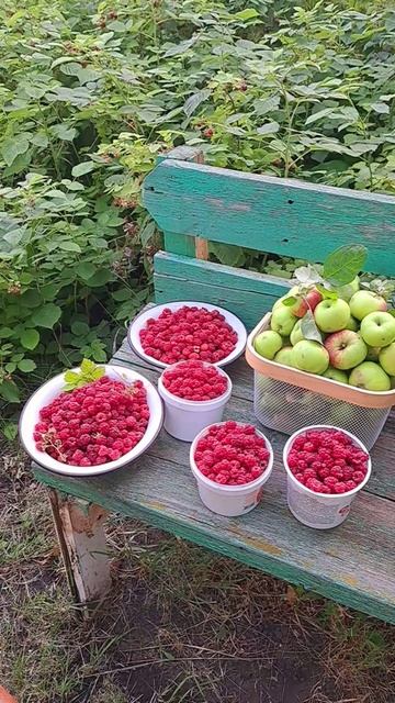 Наш улов на сегодня! Были на даче!