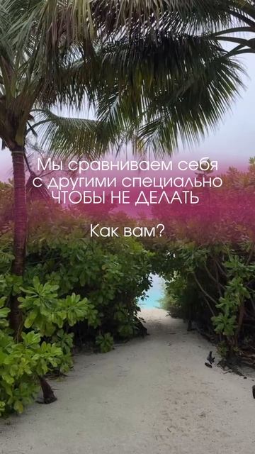 Как вам?
