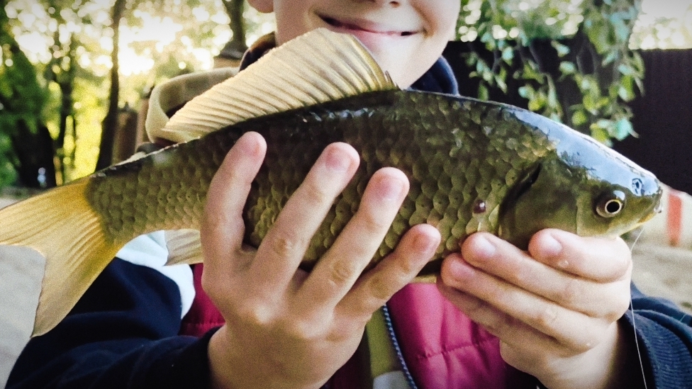 СОЧНЫЕ БАТОНЫ! НОВЫЙ ПРУД! #хобби#рыбалка#fish#fishing#природа#отдых#рыба#красота#карась#ратан