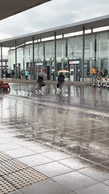 Летний дождь