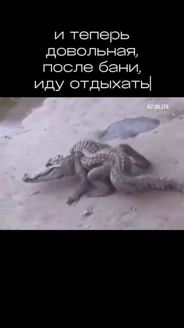 К отпуску готова