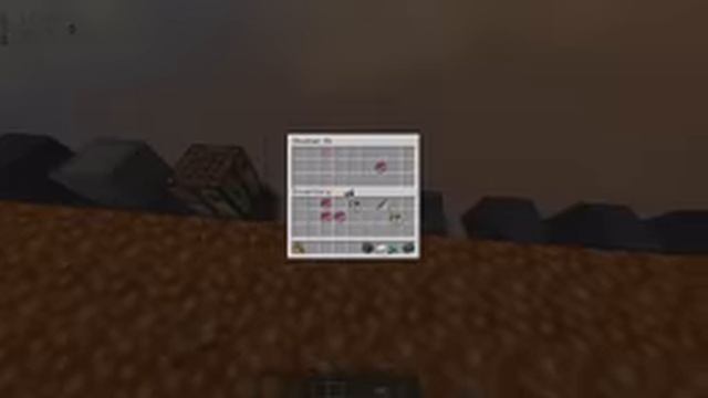 Minecraft Gameplay 6
