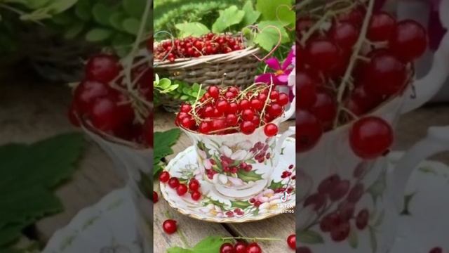 1000064161.mp4