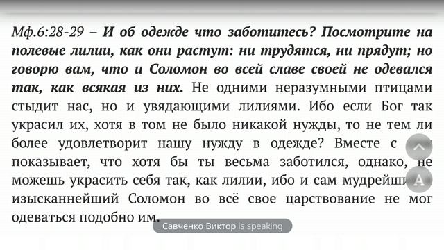 Евангелие от  Мф.6:22-33. "Светильник для тела есть око - разум".Ведущий Виктор Савченко 27.06.2025