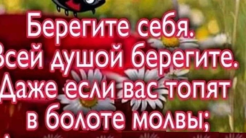 Очень нужная и важная информация к Вам стучится!✨💐🌿