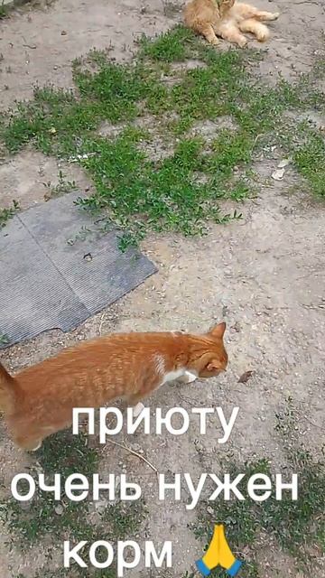 +7985 193 0027 сбер, элплат