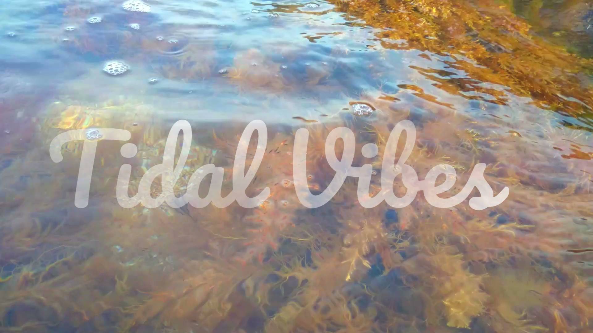Tidal Vibes