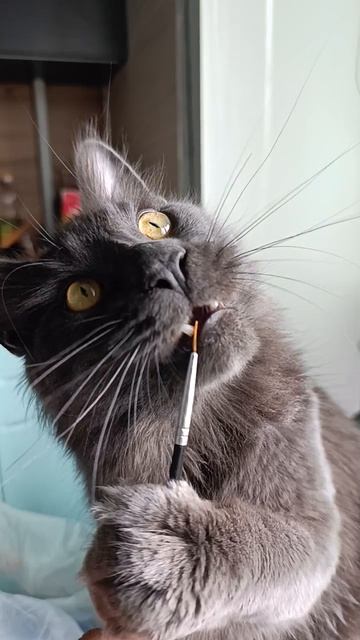 🖤