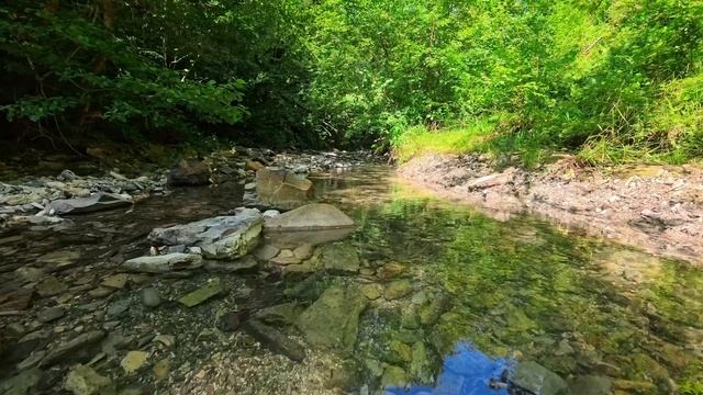 Прогулка на водопады реки Хаджиек. В Сочи, с. Якорная Щель