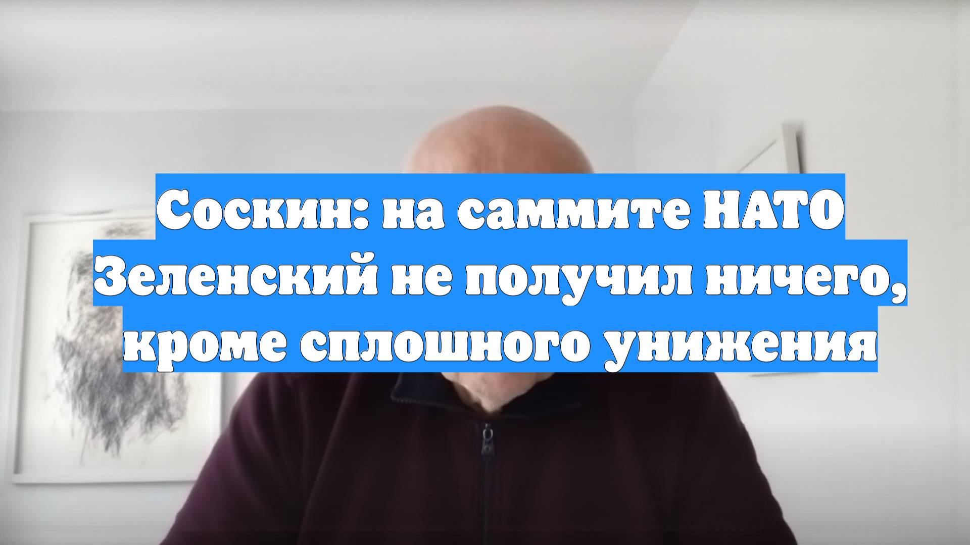Соскин: на саммите НАТО Зеленский не получил ничего, кроме сплошного унижения