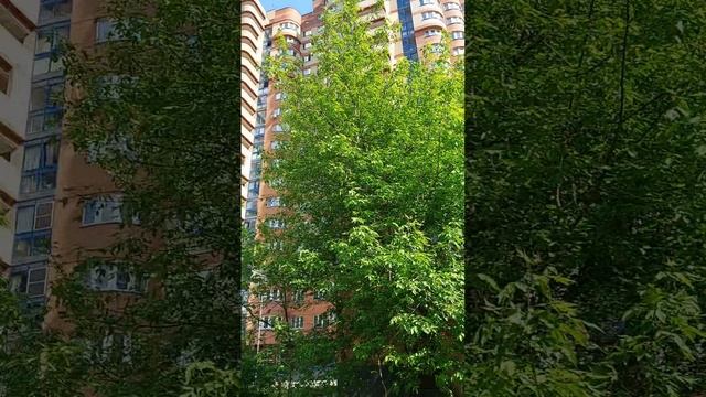 страницы воспоминаний