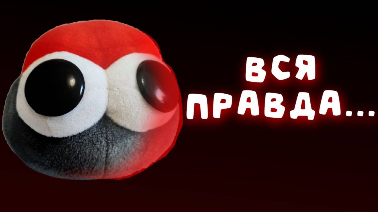 Это больше нельзя скрывать... Красная Кнопка