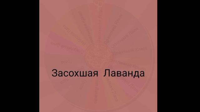 Арт рулетка FPE