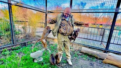 Да, Люся совершила ТАКОЙ ПРЫЖОК мне на голову, зарядив коленкой в висок