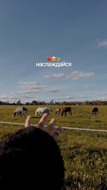 это моя фотопленка и ты в нее на секунду заглянул, как тебе?💔 #контент #обзор #эстетика