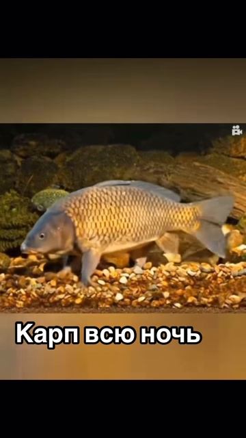 1000128109.mp4