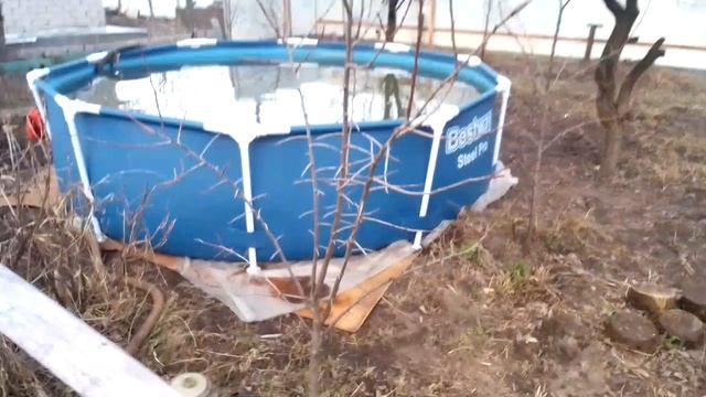 В марте для полива огорода установили каркасный бассейн Bestway 🐳☘️🌵