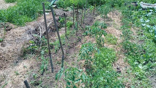 Куда она делась? Выкинули на улицу🦮🦮.