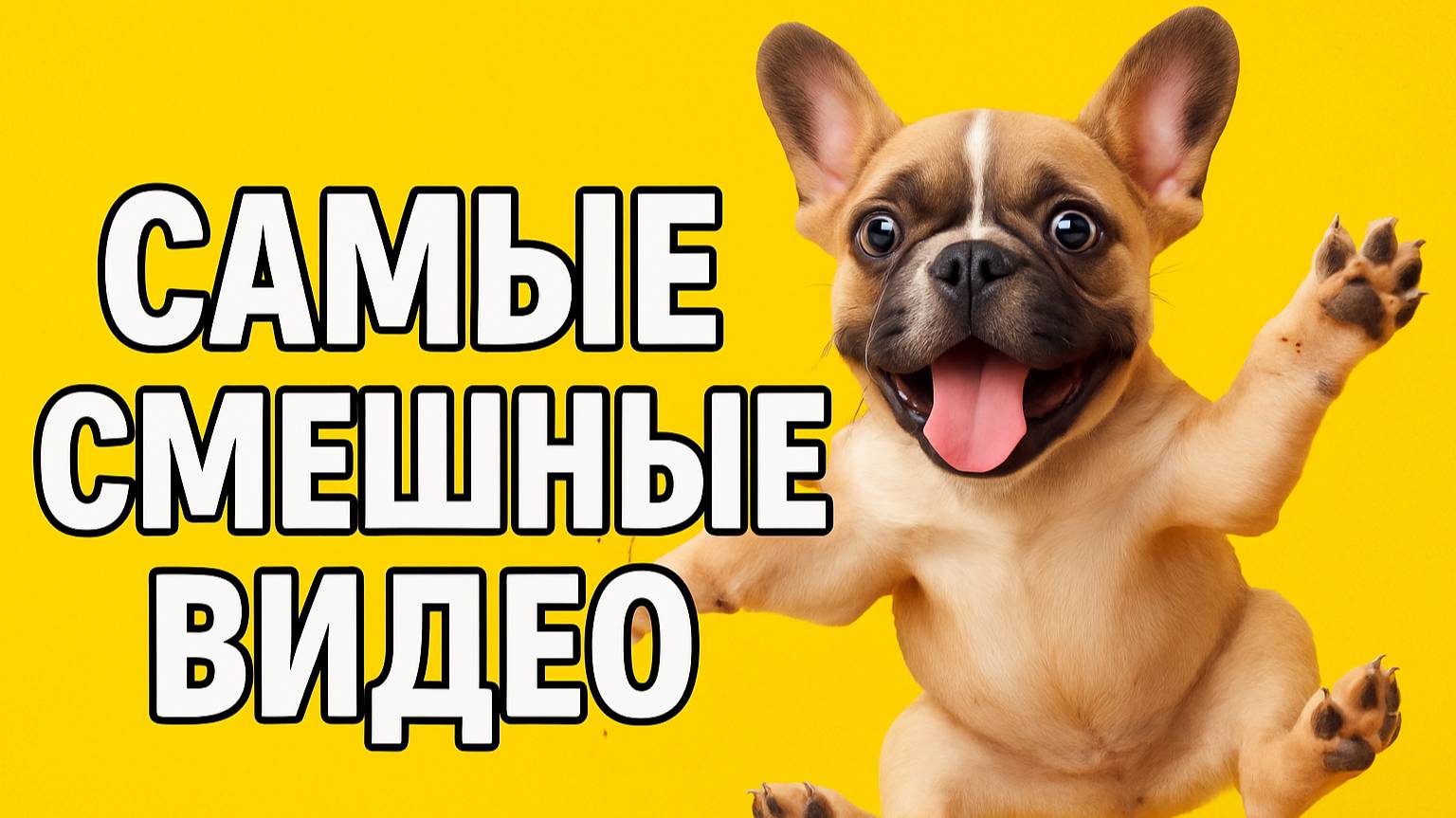 Смех до слёз: лучшие приколы №162