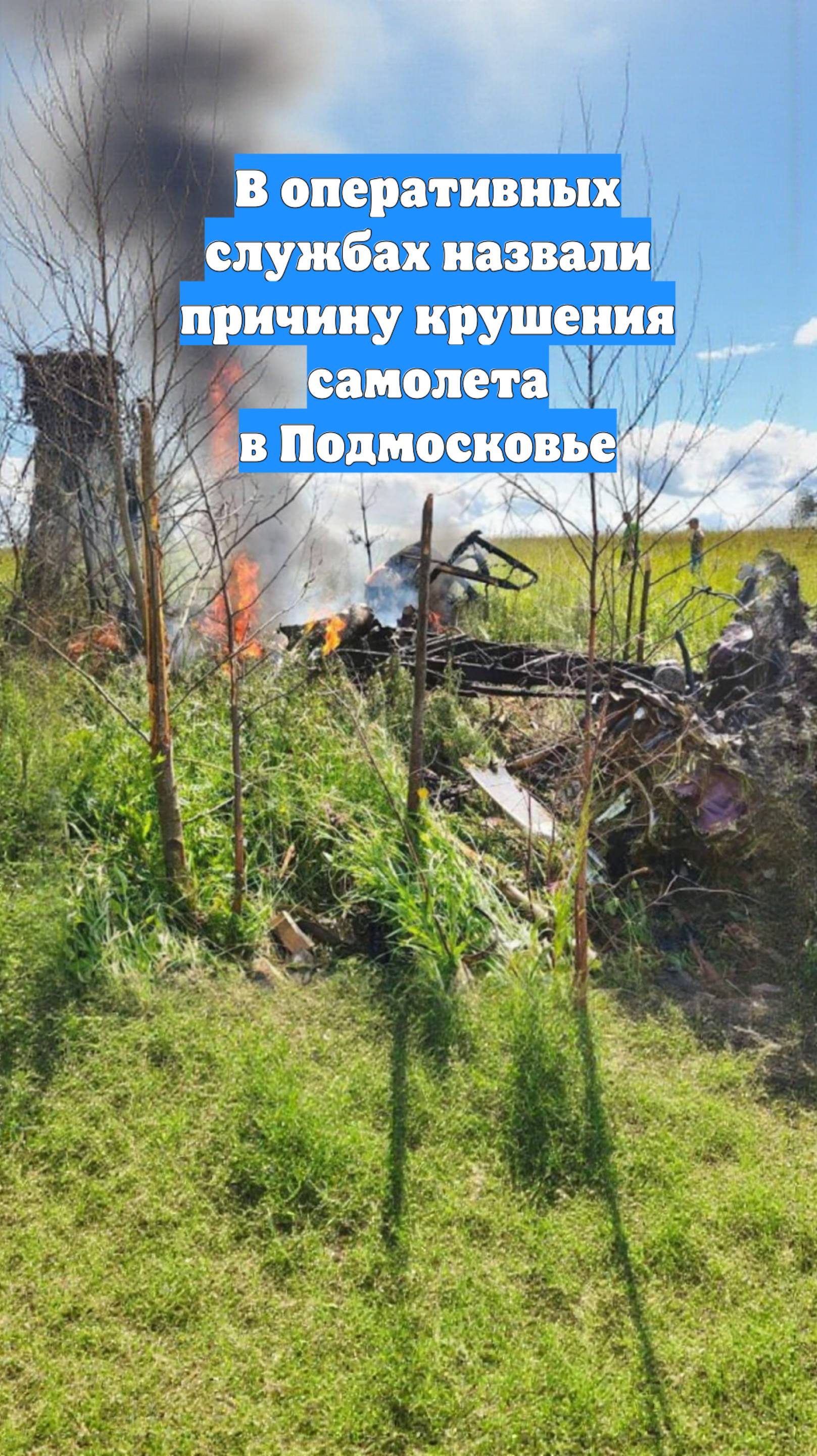 В оперативных службах назвали причину крушения самолета в Подмосковье