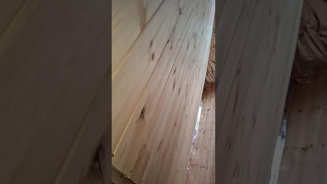 1000027554.mp4 (Собака наблюдает за устройством плоскости каркаса в доме А-фрейм)