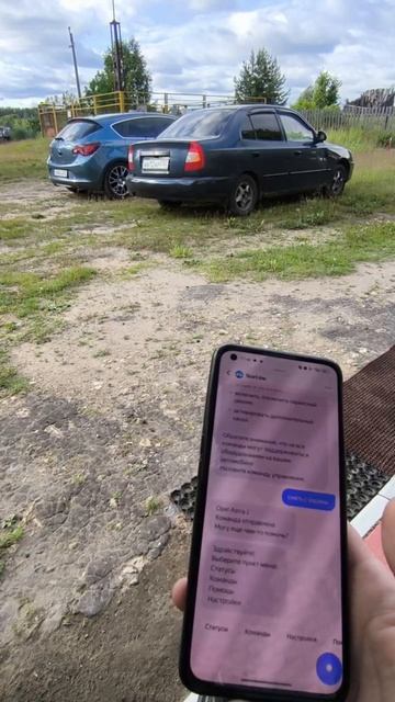 Starline + Алиса