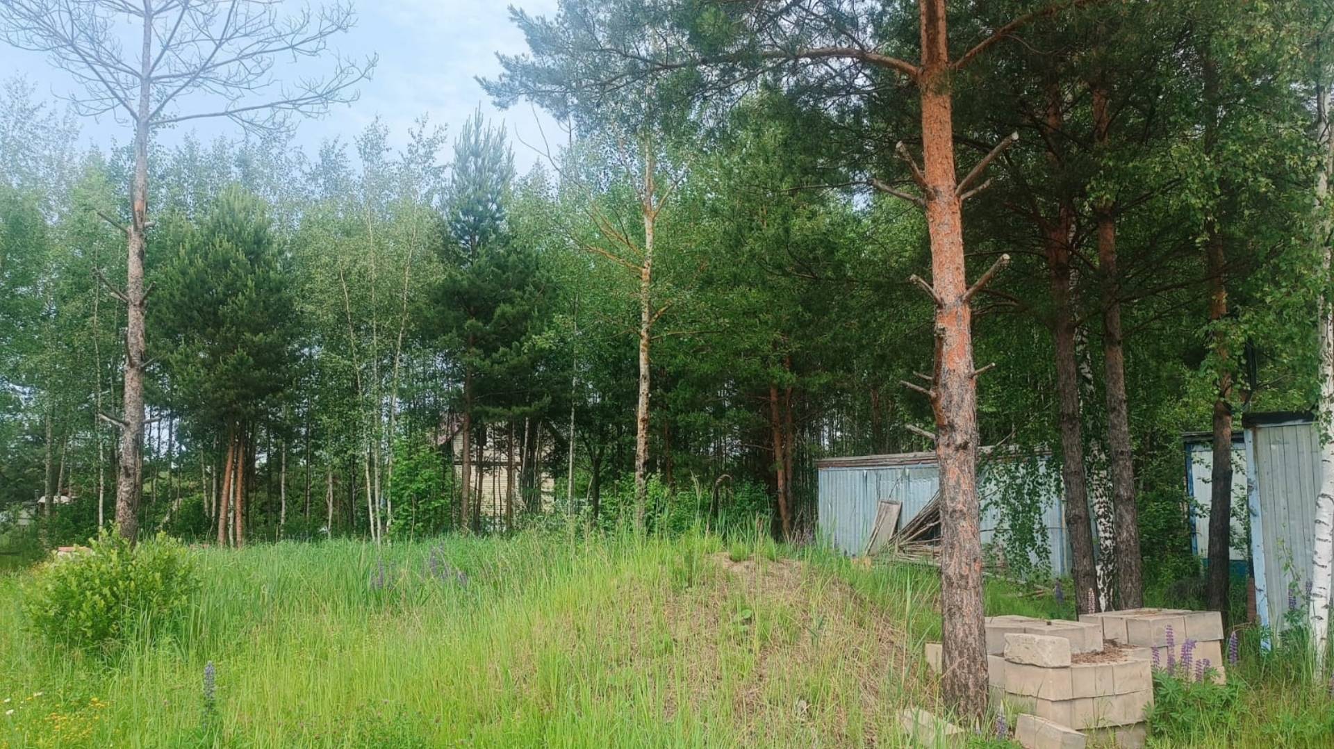 561. Участок 16 соток снт Росинка, г. Электрогорск, Московская область