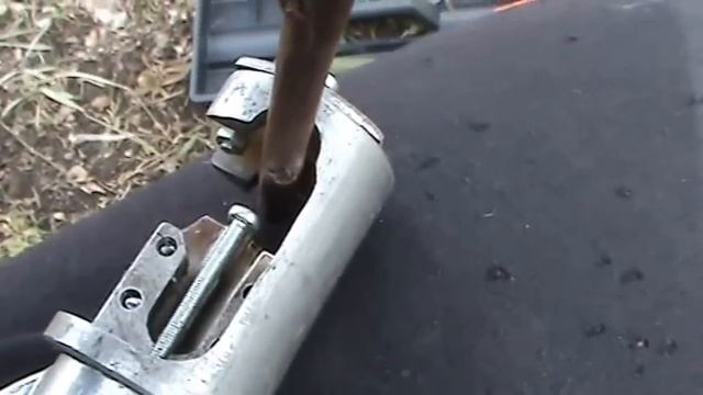 Омегообразная прививка абрикоса весной/ grafting of apricot/