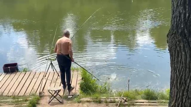 Линёк
