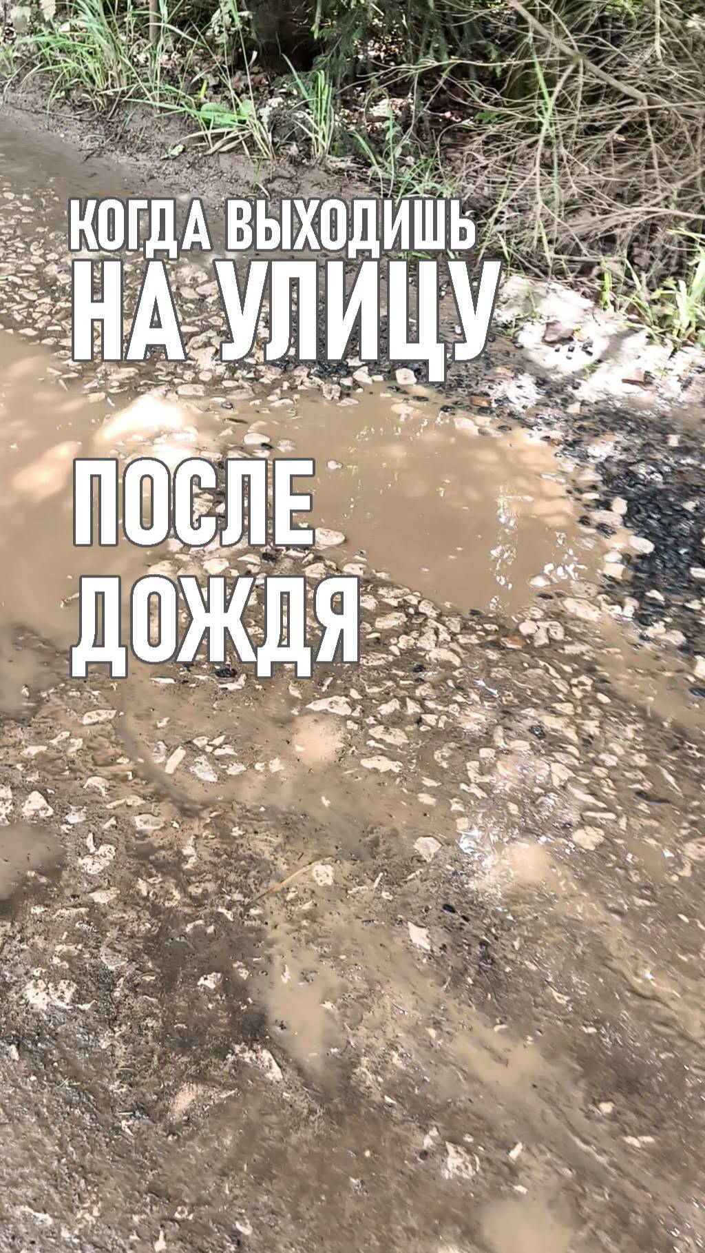 Тот самый момент, когда на даче выходишь на улицу после дождя.
#дождь #улица #дорога #юмор #смешное