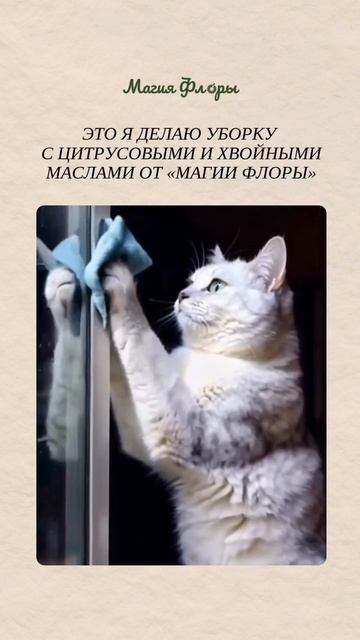 5 эфирных масел со скидкой 50%, наша распродажа продолжается ✨