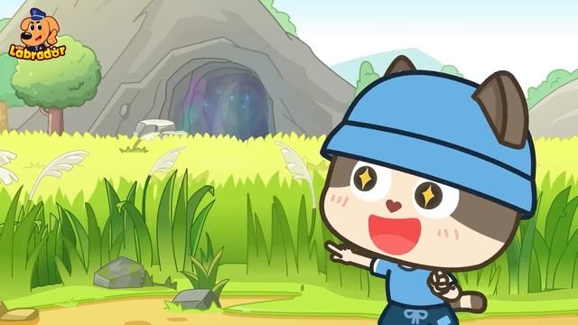 Шериф Лабрадор. Правила безопасности в бассейне