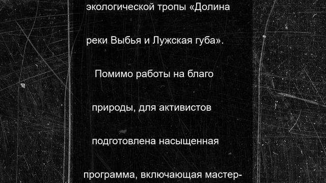 Молодежный эко-лагерь начнет работу в заказнике «Кургальский» в июле