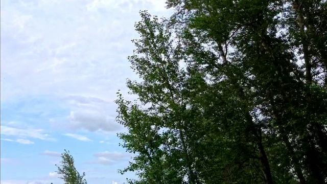 Глухой район ?