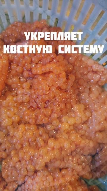 Красная икра - не просто деликатес, а натуральный продукт с пользой для здоровья!💥💯❤️ #nastikae
